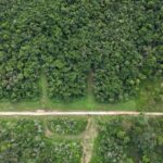 listing image thumbnail with ID 66546