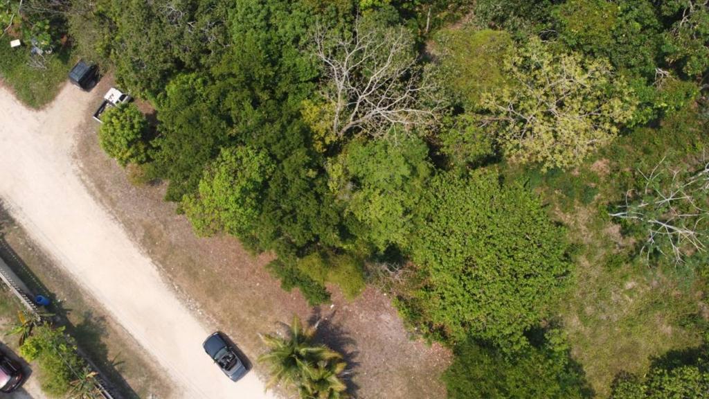 listing image with ID 65122