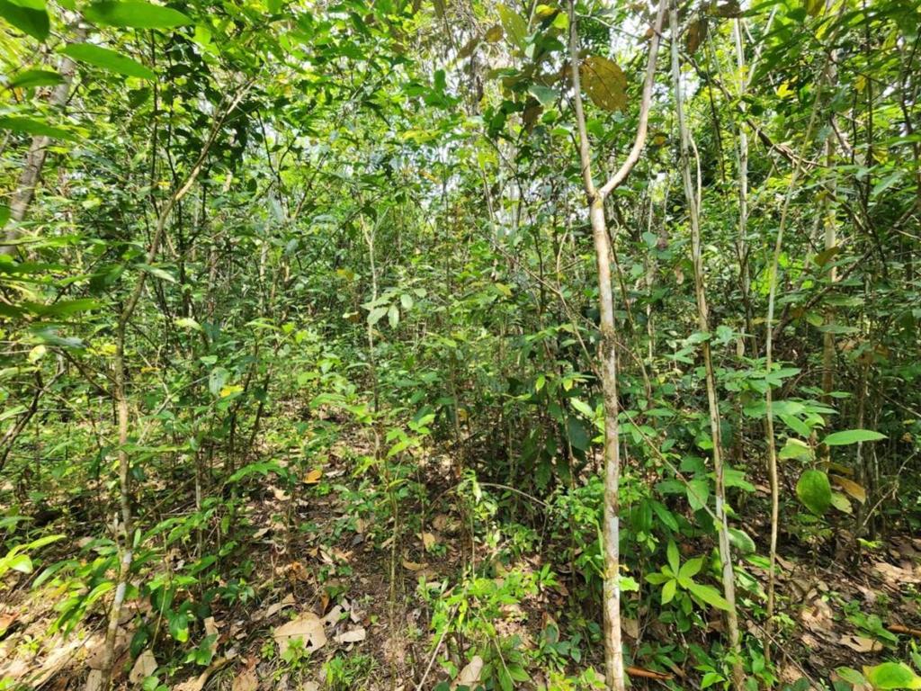 listing image with ID 69202