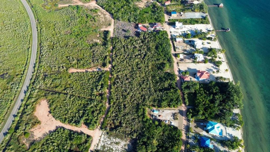 listing image with ID 67822