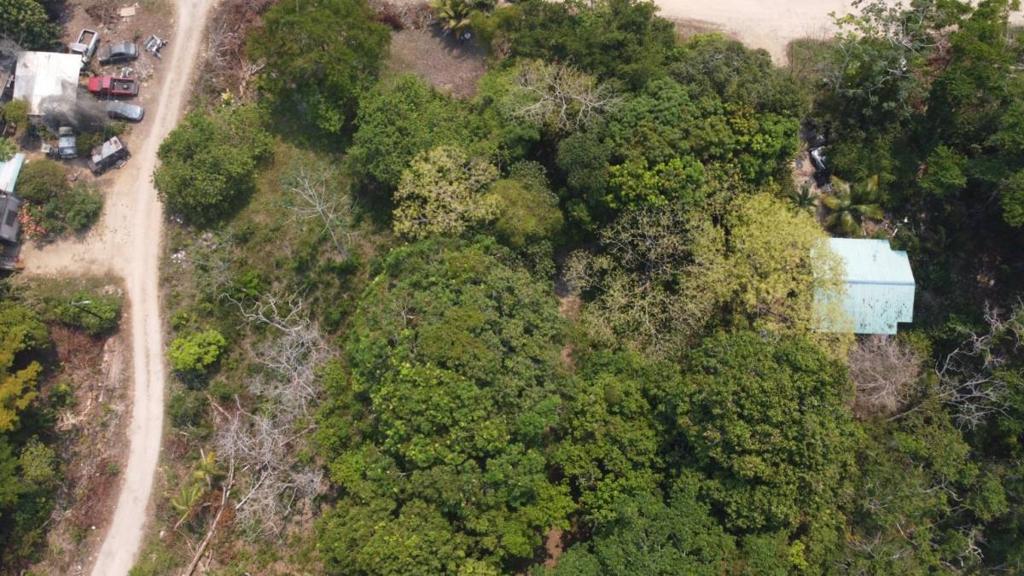 listing image with ID 65109