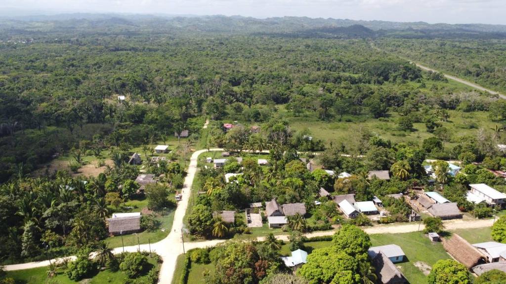 listing image with ID 64355