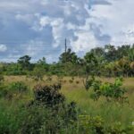 listing image thumbnail with ID 68244