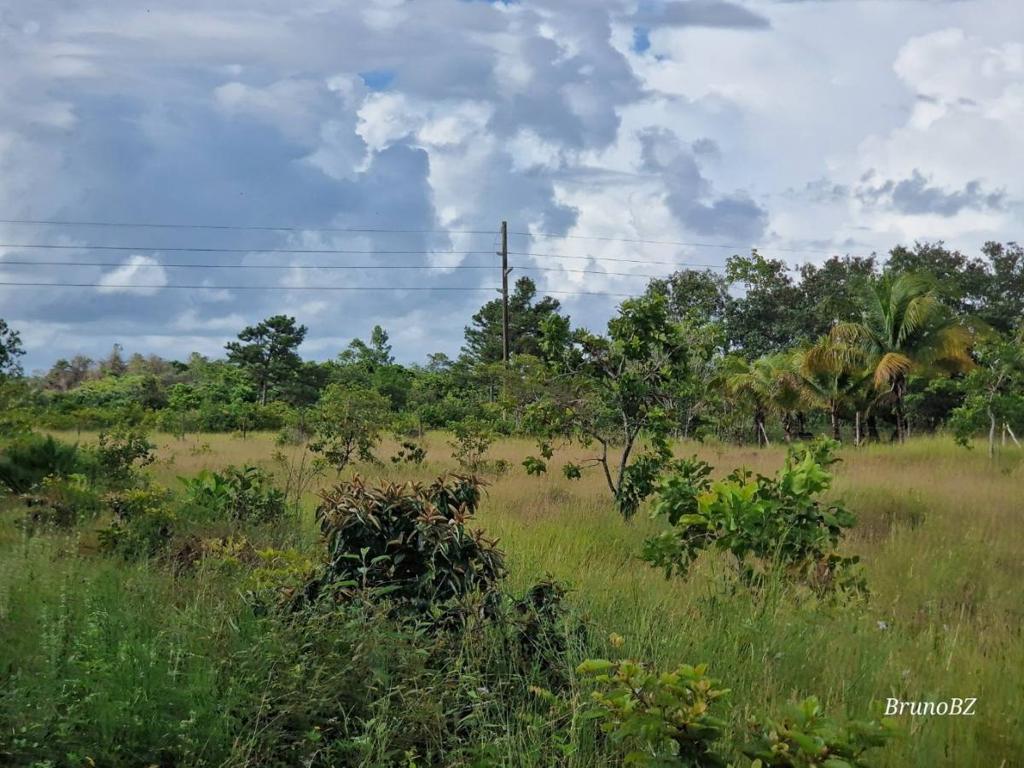 listing image with ID 68244