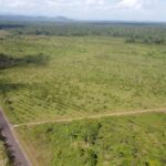 listing image thumbnail with ID 64999