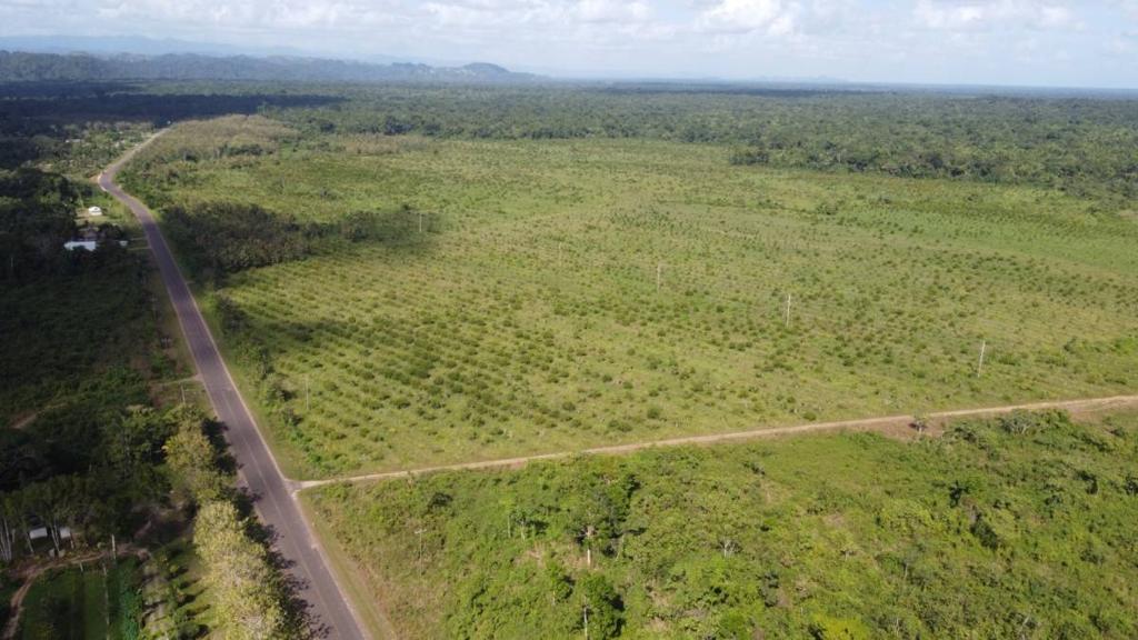 listing image with ID 64999