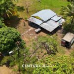 listing image thumbnail with ID 66595