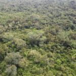 listing image thumbnail with ID 66585