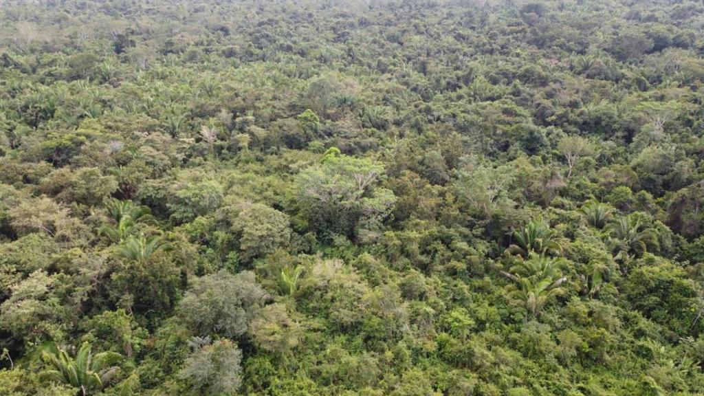 listing image with ID 66585