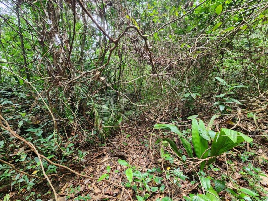 listing image with ID 69197