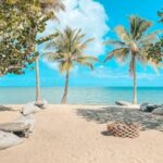 listing image thumbnail with ID 68617