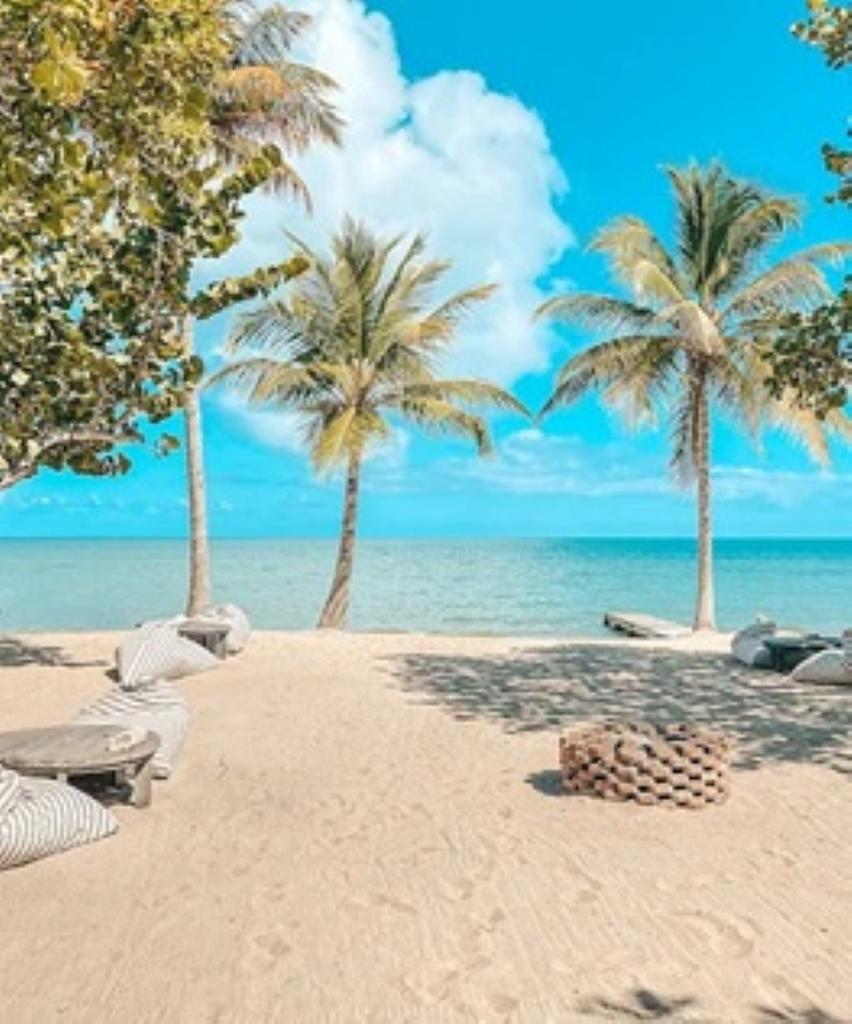 listing image with ID 68617