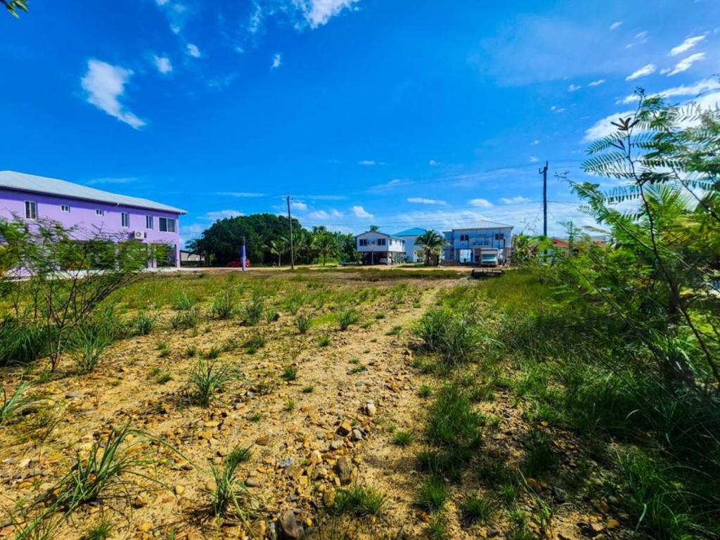 listing image with ID 63603