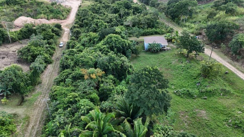 listing image with ID 64124