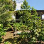 listing image thumbnail with ID 64338