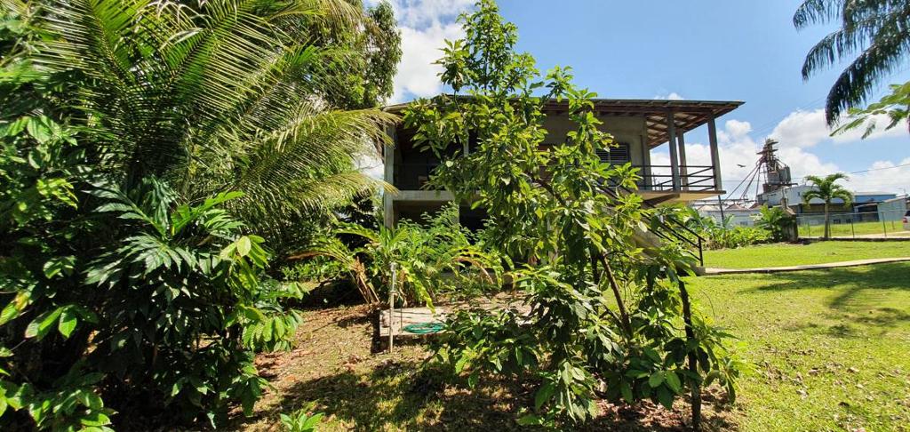 listing image with ID 64338