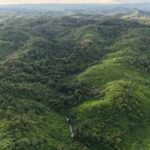 listing image thumbnail with ID 66888