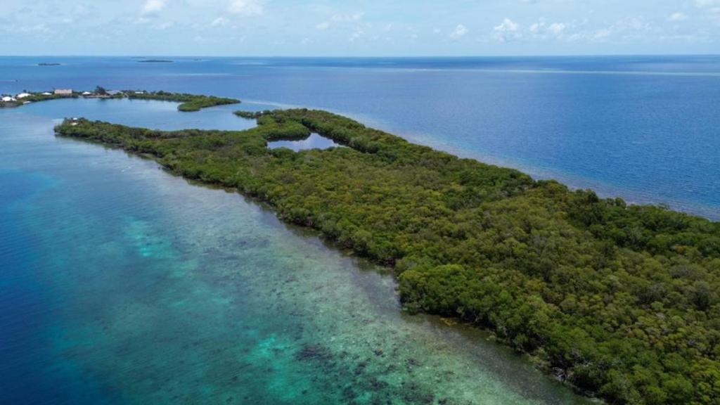 listing image with ID 65847