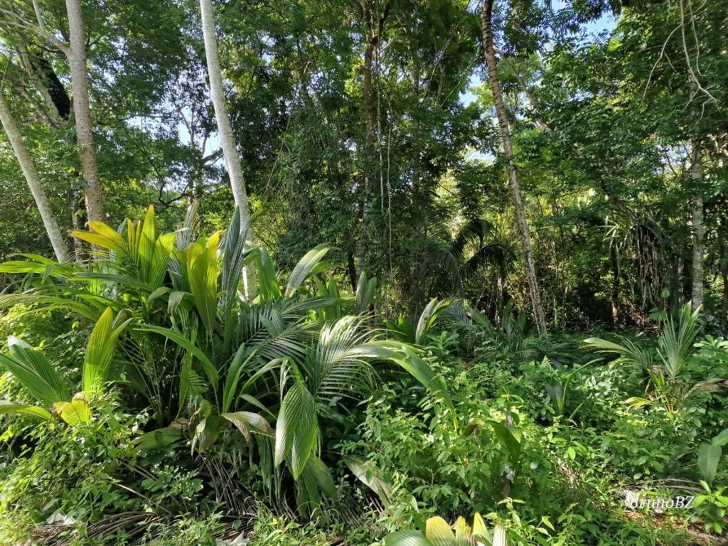 listing image with ID 63901