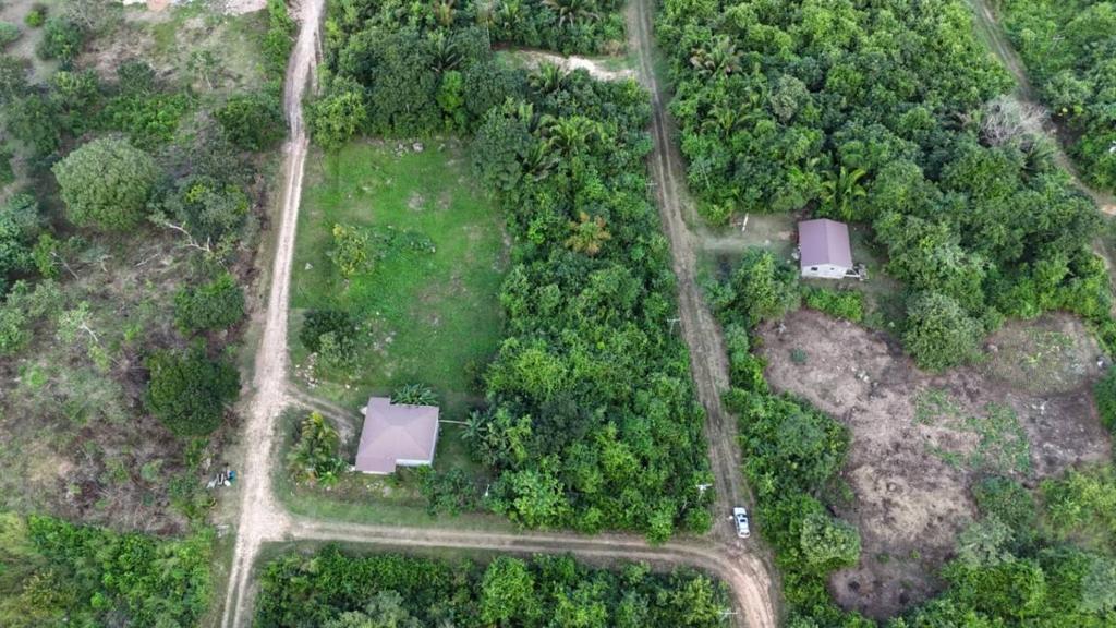 listing image with ID 67153