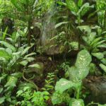 listing image thumbnail with ID 66268