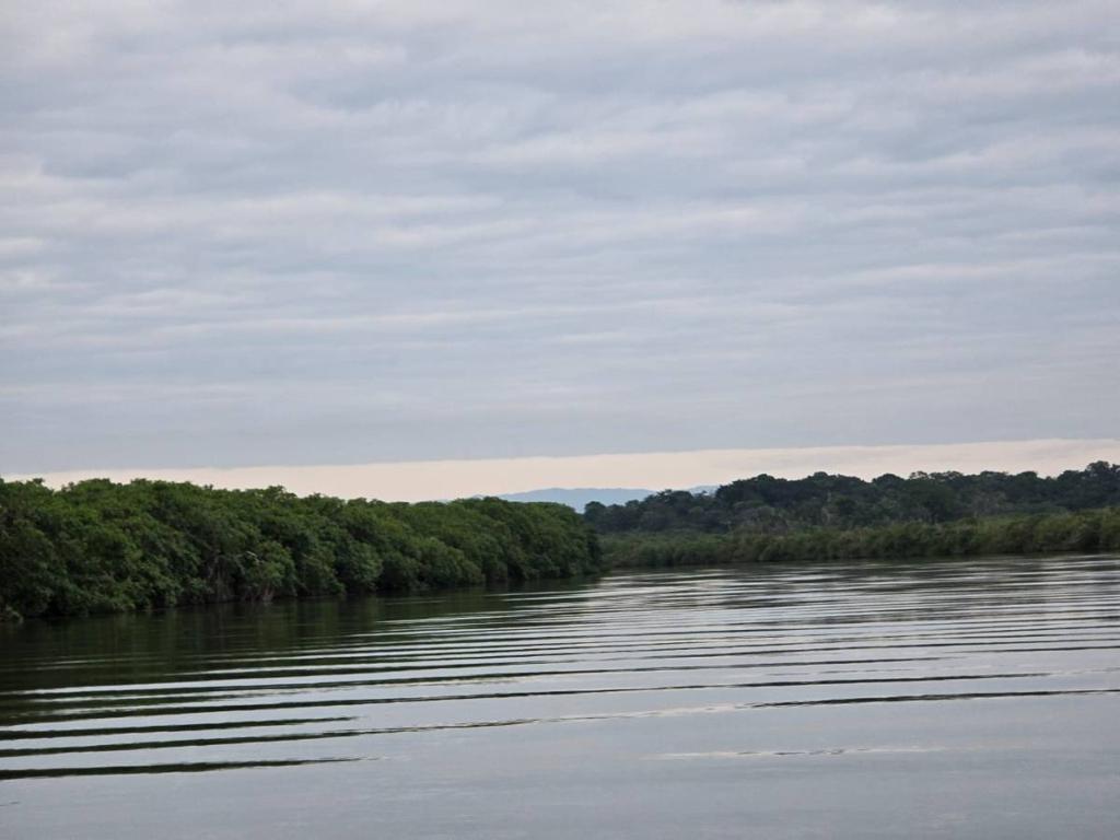 listing image with ID 65456