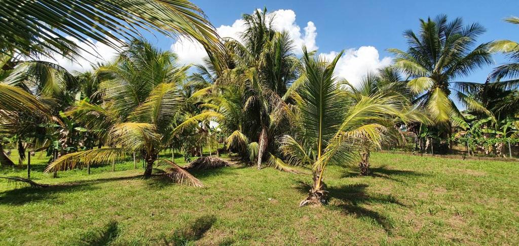 listing image with ID 63829