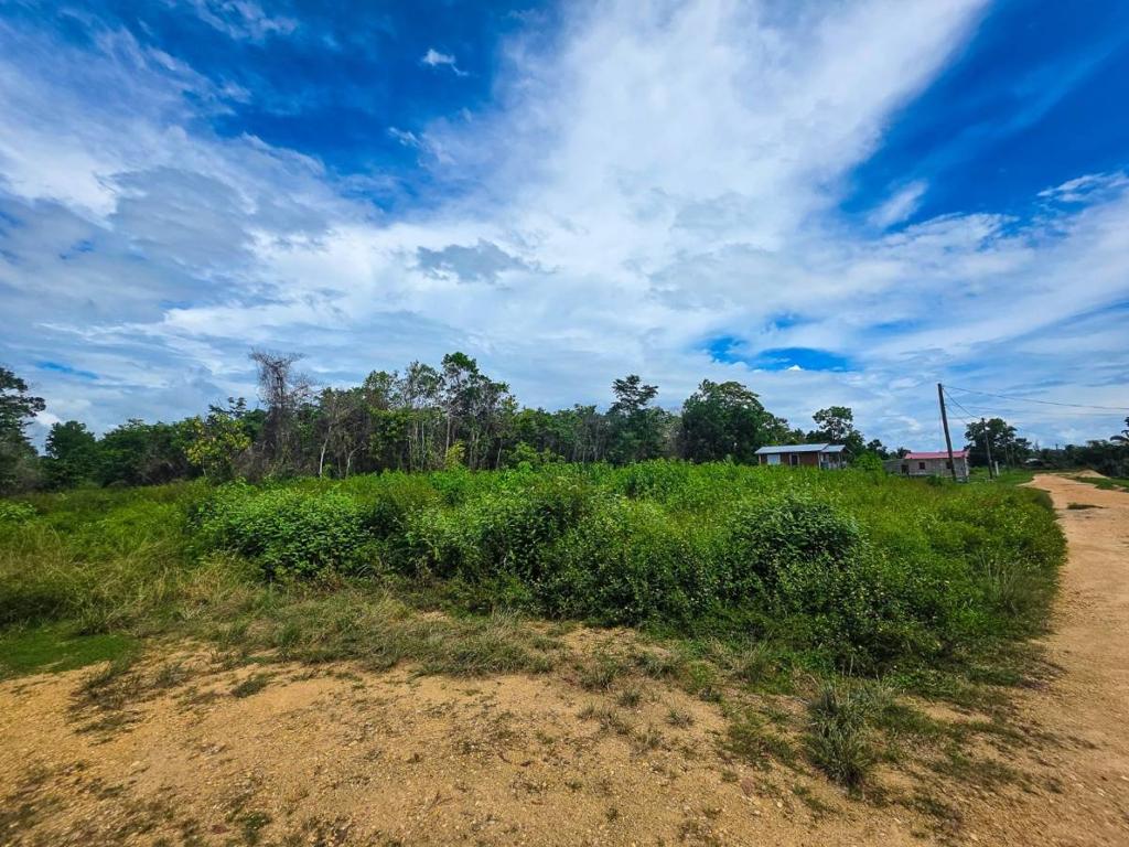 listing image with ID 65153