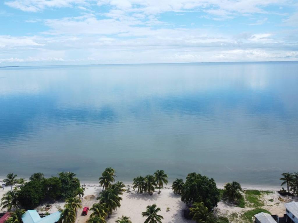 listing image with ID 65782