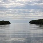 listing image thumbnail with ID 65442