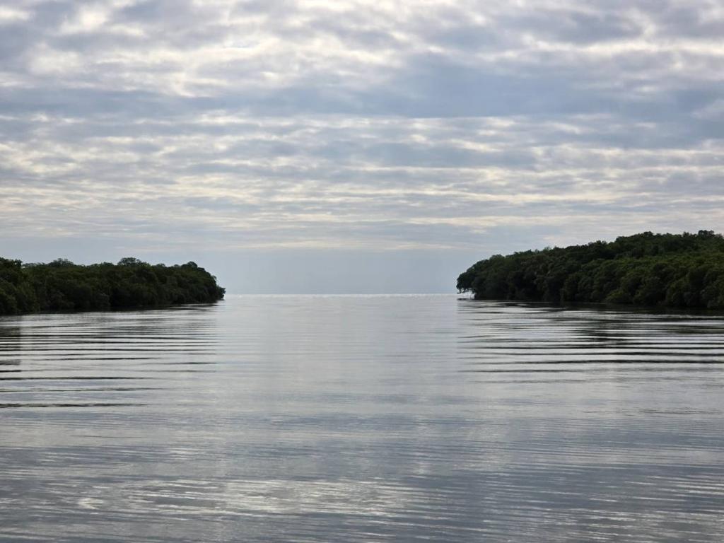 listing image with ID 65442