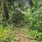 listing image thumbnail with ID 65234