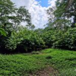 listing image thumbnail with ID 64196