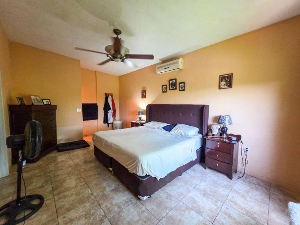 listing image with ID 64303