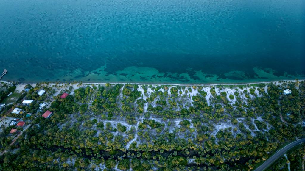 listing image with ID 68720