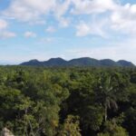 listing image thumbnail with ID 65503