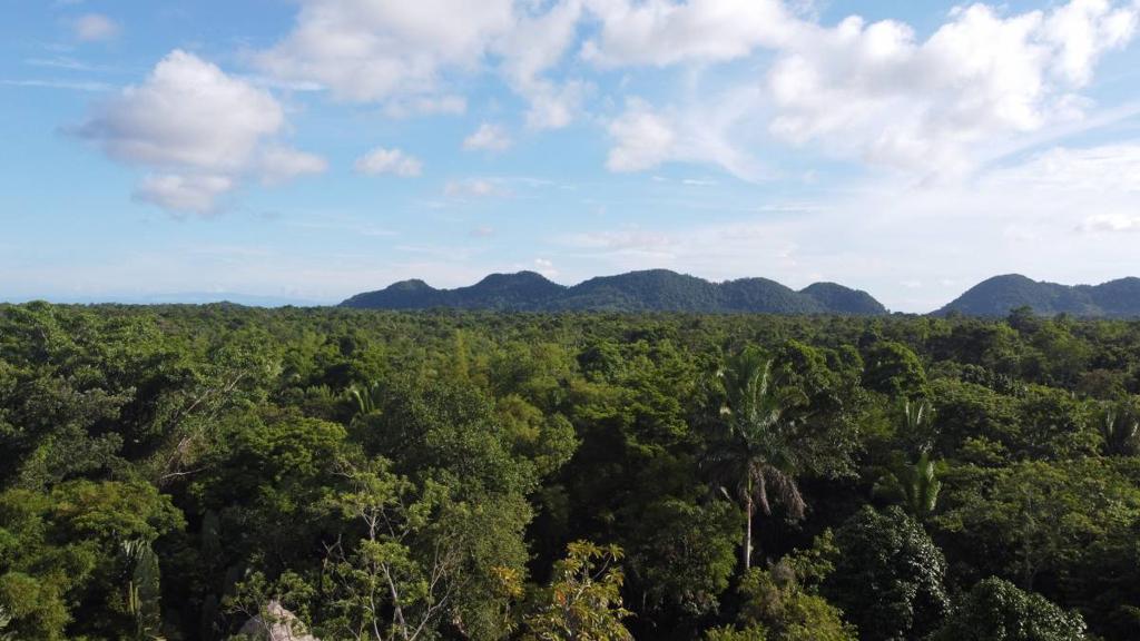 listing image with ID 65503