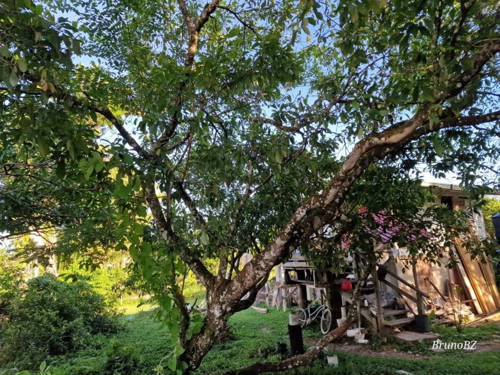 listing image with ID 67192