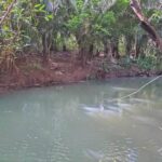 listing image thumbnail with ID 65549