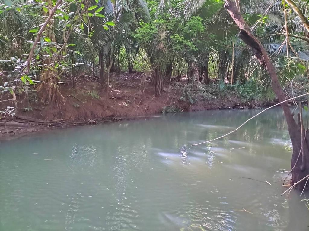 listing image with ID 65549