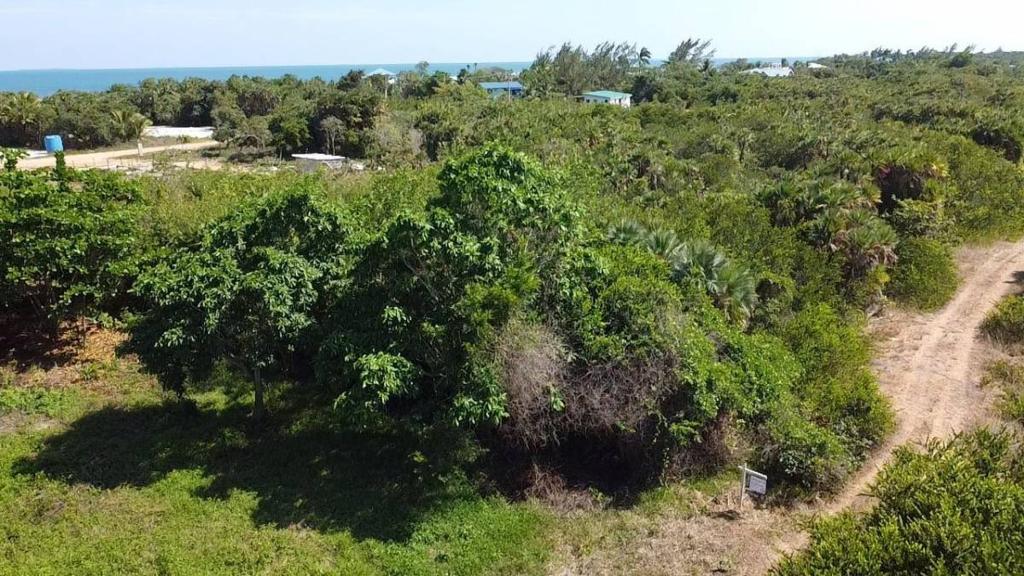 listing image with ID 65645