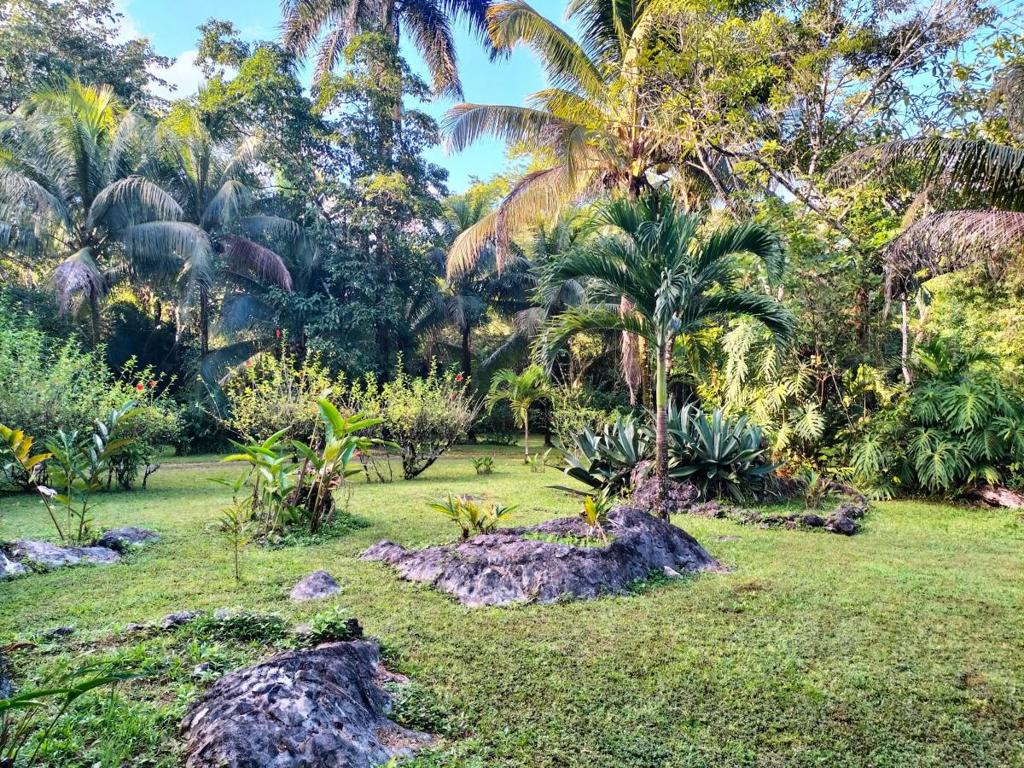 listing image with ID 65536