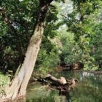 listing image thumbnail with ID 67539