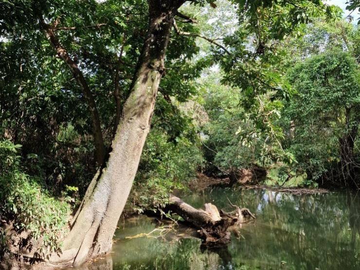 listing image with ID 67539