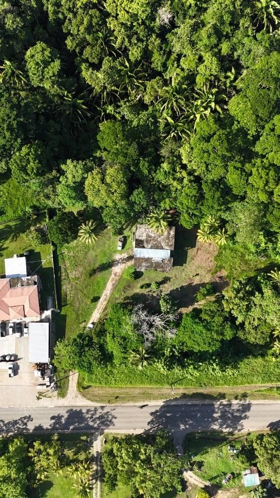 listing image with ID 63898