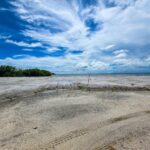 listing image thumbnail with ID 67593