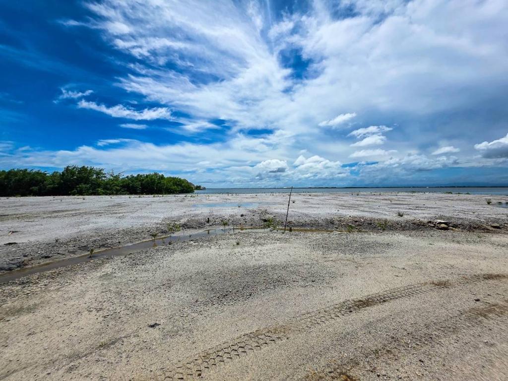 listing image with ID 67593