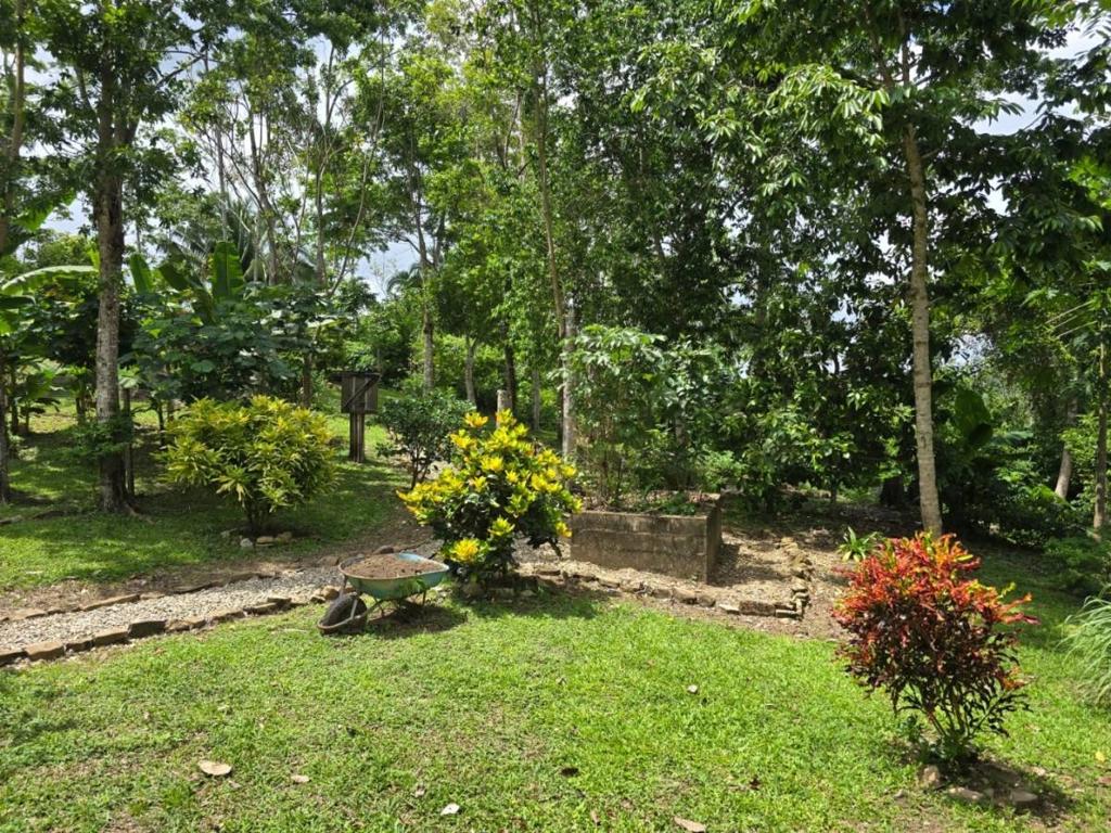 listing image with ID 68289