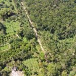 listing image thumbnail with ID 64977