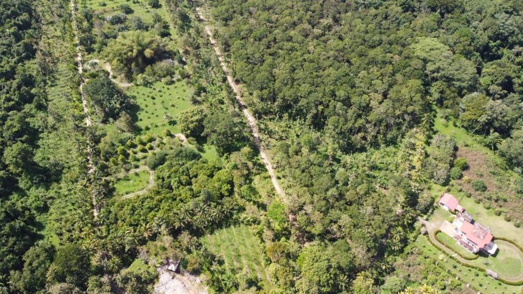 listing image with ID 64977